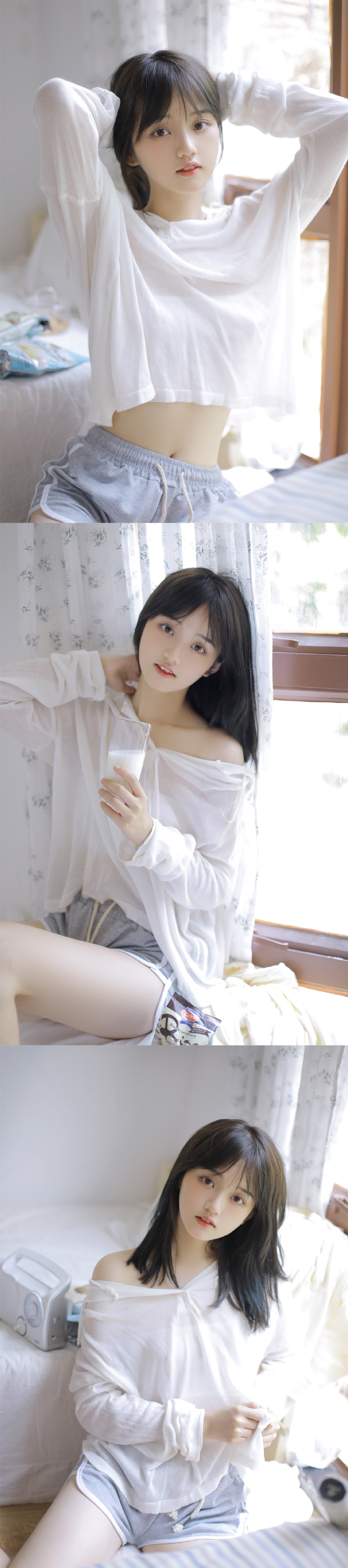 疯狂动物城 封面