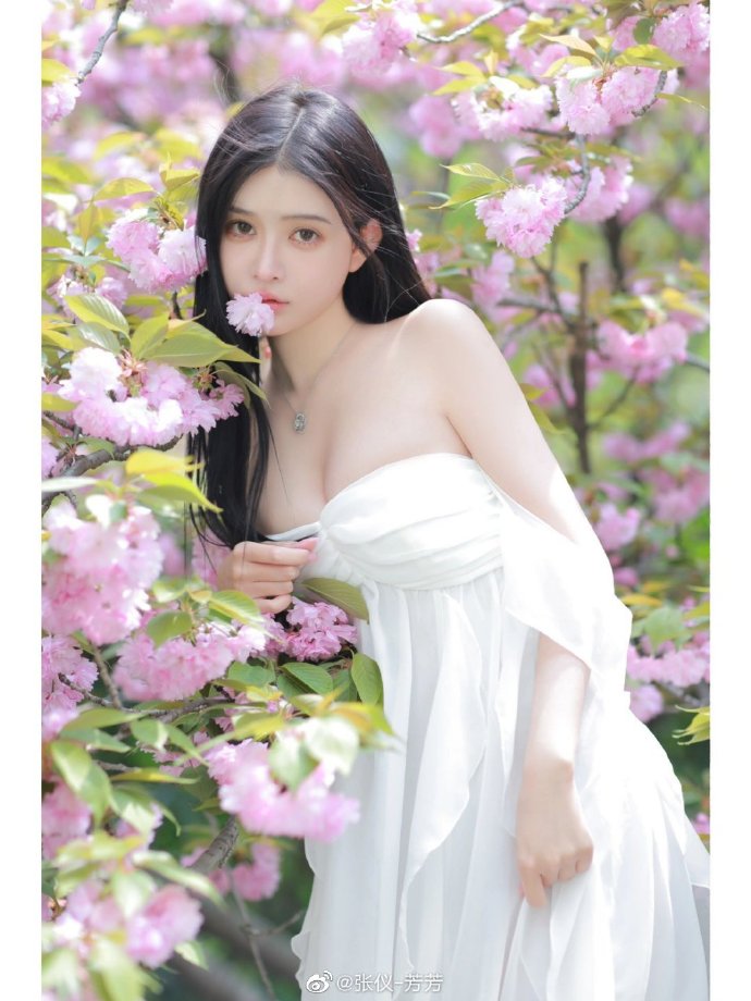 疯狂动物城 封面